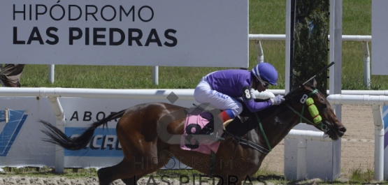 Sábado 12 de enero de 2019 - Hipódromo Las Piedras