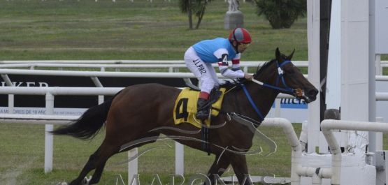 Domingo 13 de enero de 2019 - Hipódromo Nacional de Maroñas