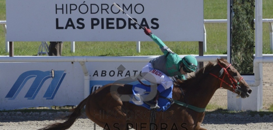 GRAN PREMIO POLLA DE POTRILLOS