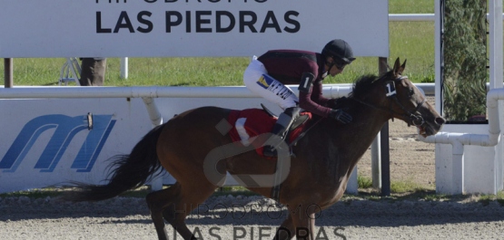 GRAN PREMIO POLLA DE POTRANCAS