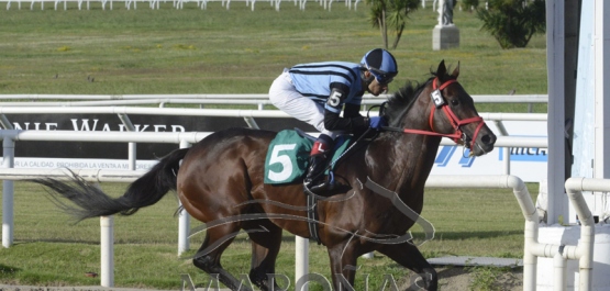 Viernes 18 de enero de 2018 - Hipódromo Nacional de Maroñas