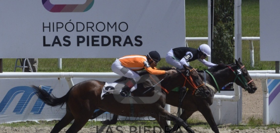 Sábado 19 de enero  2019 - Hipódromo Las Piedras