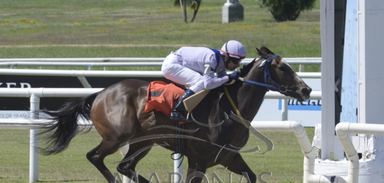 Domingo 20 de enero de 2019 - Hipódromo Nacional de Maroñas