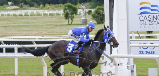 Viernes 25 de enero de 2019 - Hipódromo Nacional de Maroñas