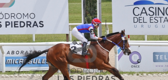 Sábado 26 de enero de 2019 - Hipódromo Las Piedras