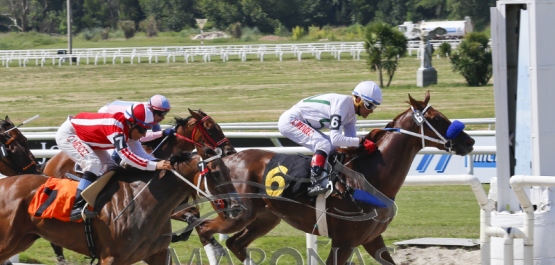 Domingo 27 de enero de 2019 - Hipódromo Nacional de Maroñas