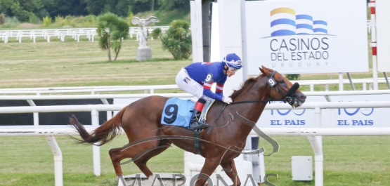 CLÁSICO FRANCISCO Y ALBERTO MILIA