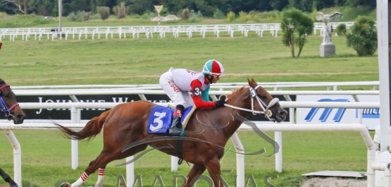 Viernes 1º de febrero de 2019 - Hipódromo Nacional de Maroñas