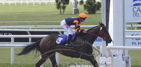 Domingo 3 de febrero de 2019 - Hipódromo Nacional de Maroñas