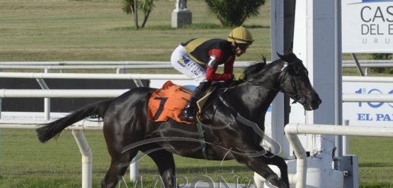 Viernes 8 de febrero de 2019 - Hipódromo Nacional de Maroñas