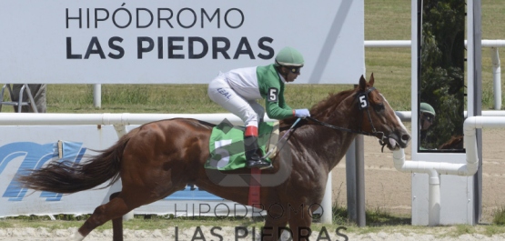 Sábado 9 de febrero de 2019 - Hipódromo Las Piedras