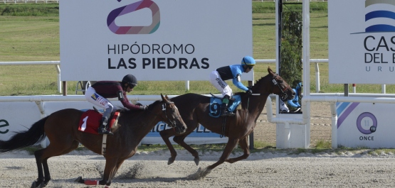 GRAN PREMIO SELECCIÓN