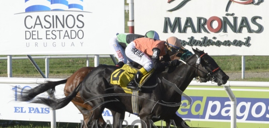 Viernes 15 de febrero de 2019 - Hipódromo Nacional de Maroñas