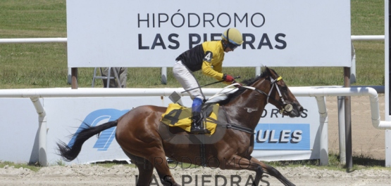 Sábado 16 de febrero de 2019 - Hipódromo Las Piedras