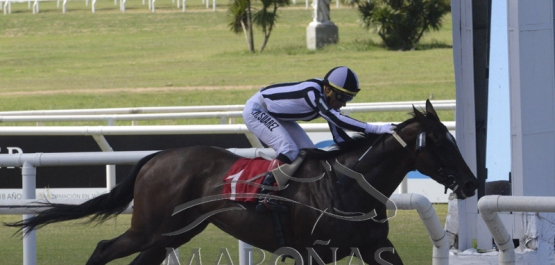 Domingo 17 de febrero de 2019 - Hipódromo Nacional de Maroñas