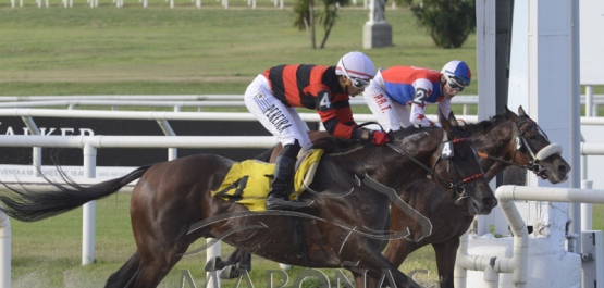 Viernes 22 de febrero de 2019 - Hipódromo Nacional de Maroñas