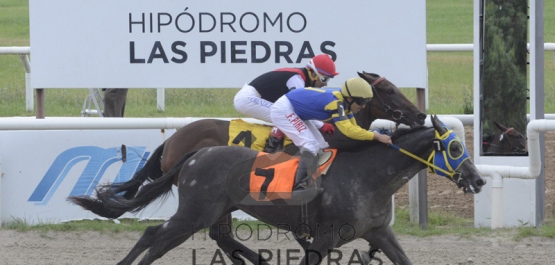 Sábado 23 de febrero de 2019 - Hipódromo Las Piedras