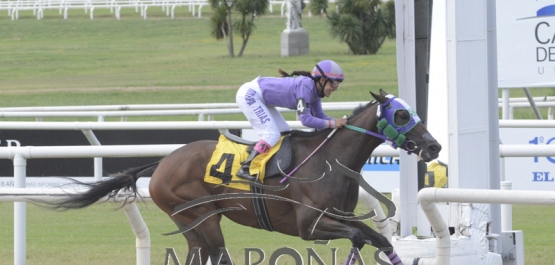 Domingo 24 de febrero de 2019 - Hipódromo Nacional de Maroñas