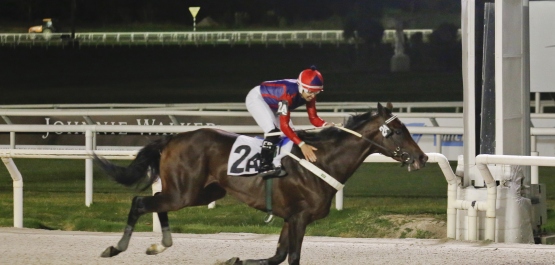 HANDICAP ESPECIAL GOOD REPORT