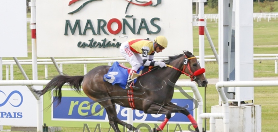 Sábado 9 de marzo de 2019 - Hipódromo Nacional de Maroñas