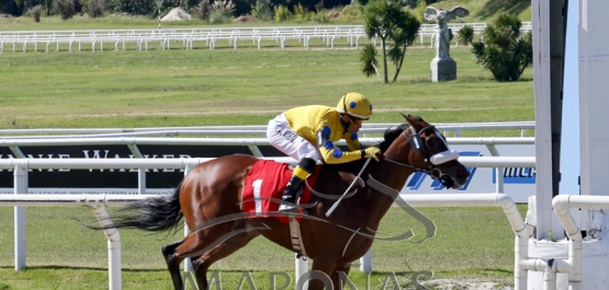 Domingo 10 de marzo de 2019 - Hipódromo Nacional de Maroñas