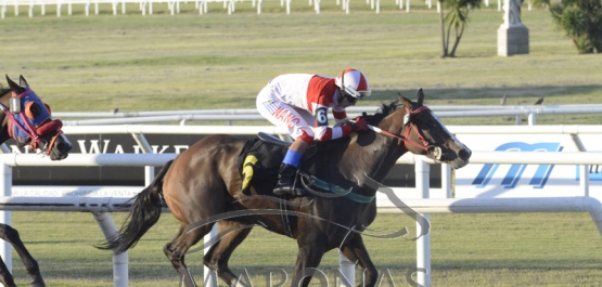 Viernes 22 de marzo de 2019 - Hipódromo Nacional de Maroñas