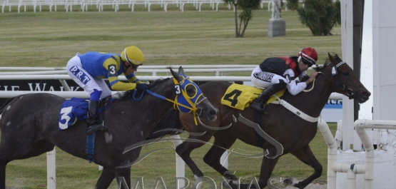 Domingo 24 de marzo de 2019 - Hipódromo Nacional de Maroñas