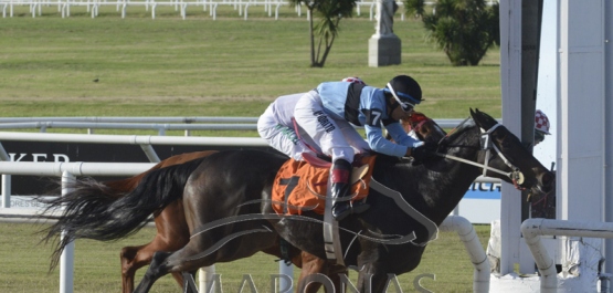 Viernes 29 de marzo de 2019 - Hipódromo Nacional de Maroñas