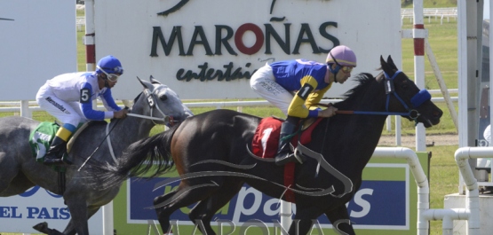 Domingo 31 de marzo de 2019 - Hipódromo Nacional de Maroñas