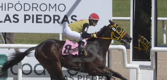 Sábado 6 de abril de 2019 - Hipódromo Las Piedras