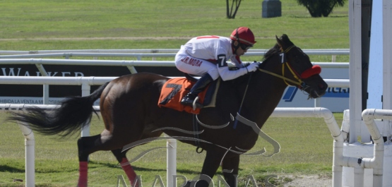 Domingo 7 de abril de 2019 - Hipódromo Nacional de Maroñas