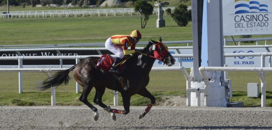 CLÁSICO JOSÉ SHAW