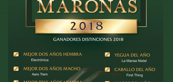 Distinciones Maroñas 2018