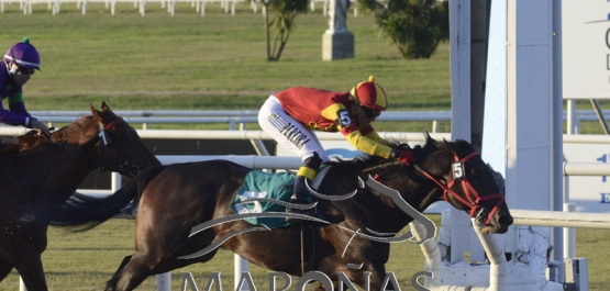 Viernes 12 de abril de 2019 - Hipódromo Nacional de Maroñas