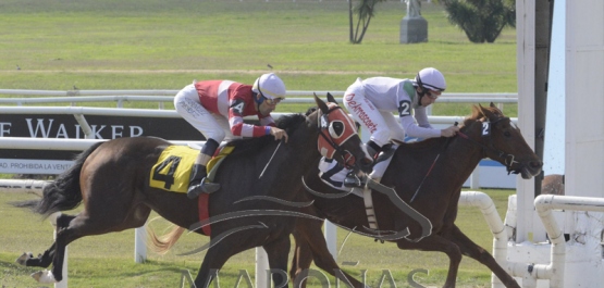 Domingo 14 de abril de 2019 - Hipódromo Nacional de Maroñas