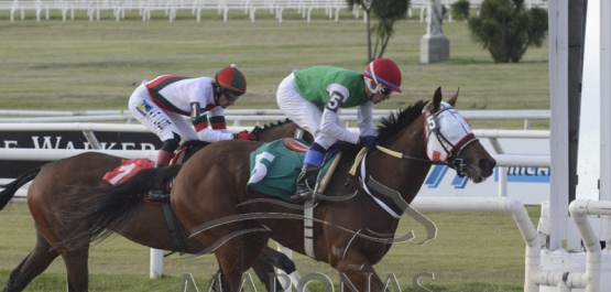 Sábado 20 de abril de 2019 - Hipódromo Nacional de Maroñas