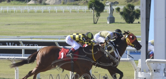 Domingo 21 de abril de 2019 - Hipódromo Nacional de Maroñas