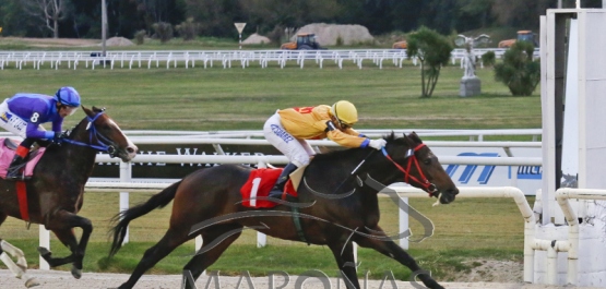 Viernes 26 de abril de 2019 - Hipódromo Nacional de Maroñas