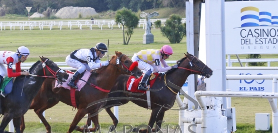 Domingo 28 de abril de 2019 - Hipódromo Nacional de Maroñas