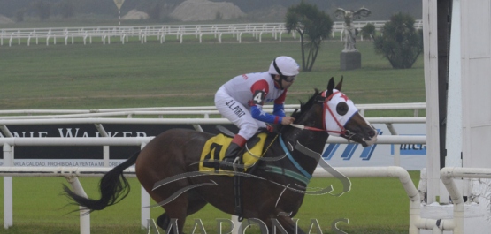 Domingo 5 de mayo de 2019 - Hipódromo Nacional de Maroñas