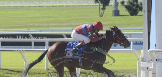 Domingo 12 de mayo de 2019 - Hipódromo Nacional de Maroñas