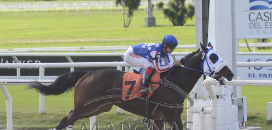 Domingo 19 de mayo de 2019 - Hipódromo Las Piedras