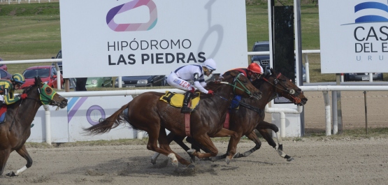 GRAN PREMIO OSAF