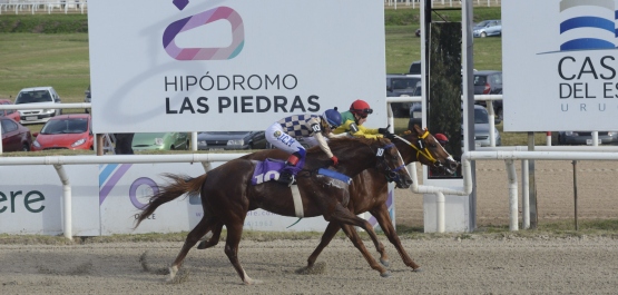 GRAN PREMIO UBALDO SERÉ