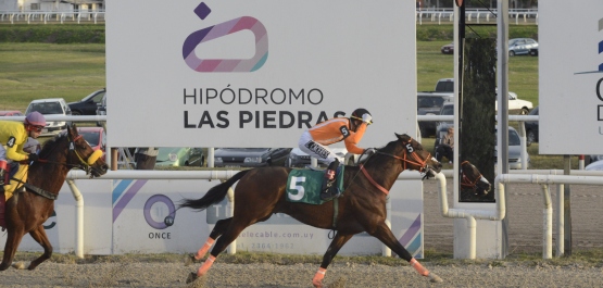 GRAN PREMIO BATALLA DE LAS PIEDRAS