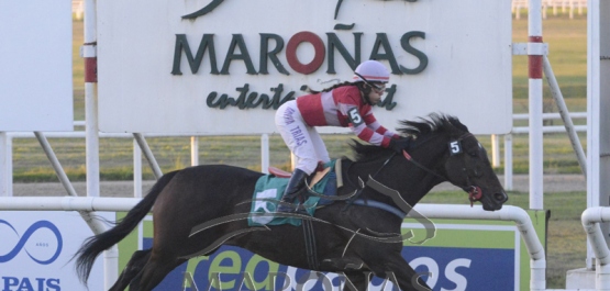 Viernes 24 de mayo de 2019 - Hipódromo Nacional de Maroñas