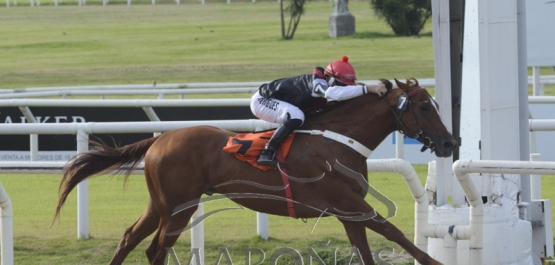 Domingo 26 de mayo de 2019 - Hipódromo Nacional de Maroñas