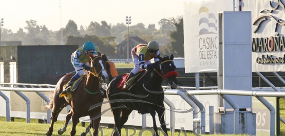 Viernes 31 de mayo de 2019 - Hipódromo Nacional de Maroñas