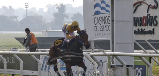 Domingo 2 de junio de 2019 - Hipódromo Nacional de Maroñas