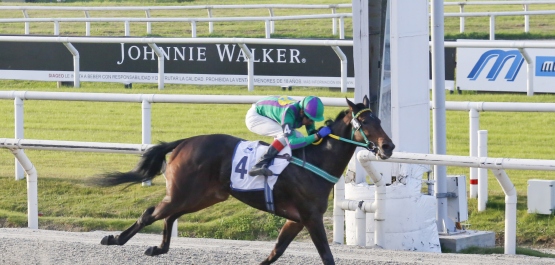 CLÁSICO CAMPÈONES JUVENILE FILLIES - COPA WALTER ABELENDA